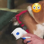 Quita Piojos y Liendres Ultra