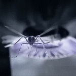 LAMPARA DE MOSQUITOS LED