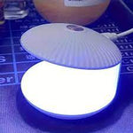 Lampara De Uñas Mini